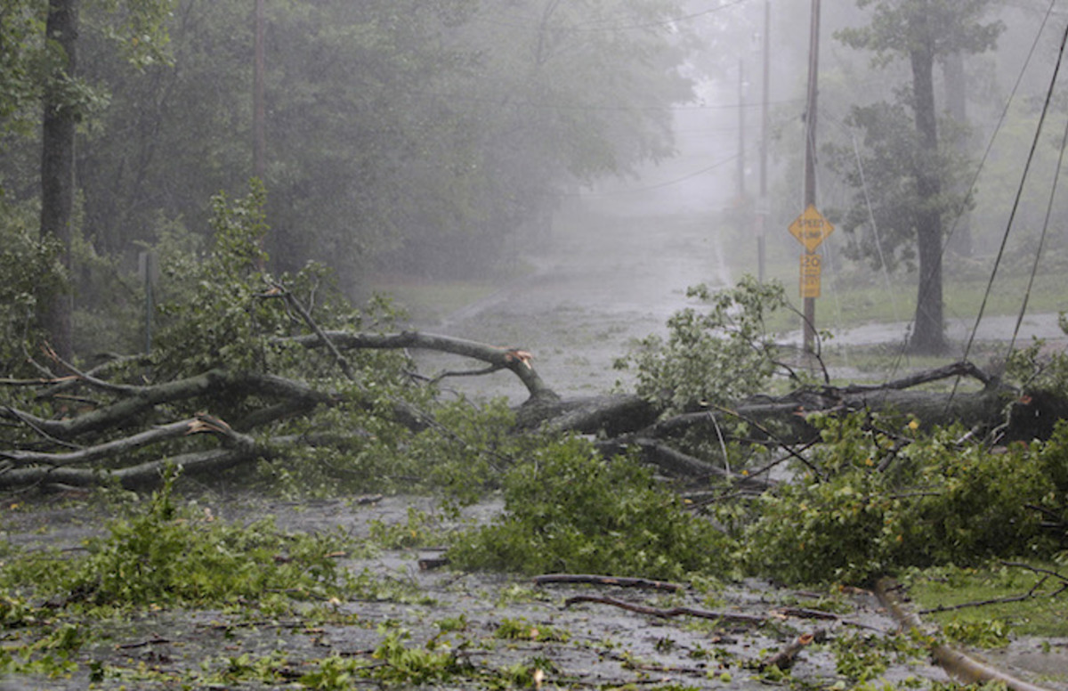 Falling Tree Kills South Carolina Journalists Covering Subtropical