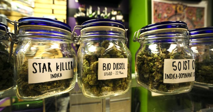 How to Invest in Legal Weed | Complex