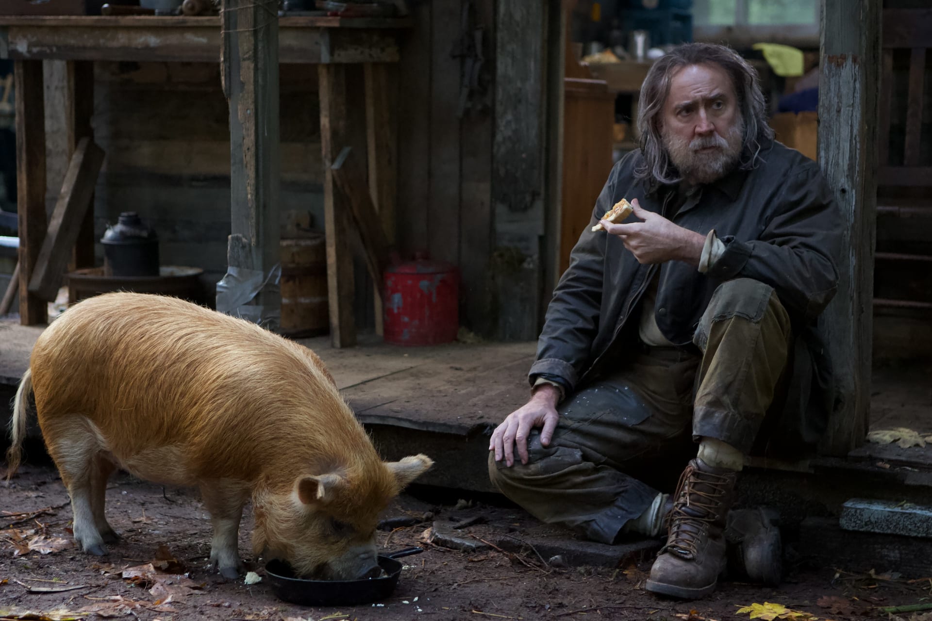 Pig, starring Nicolas Cage