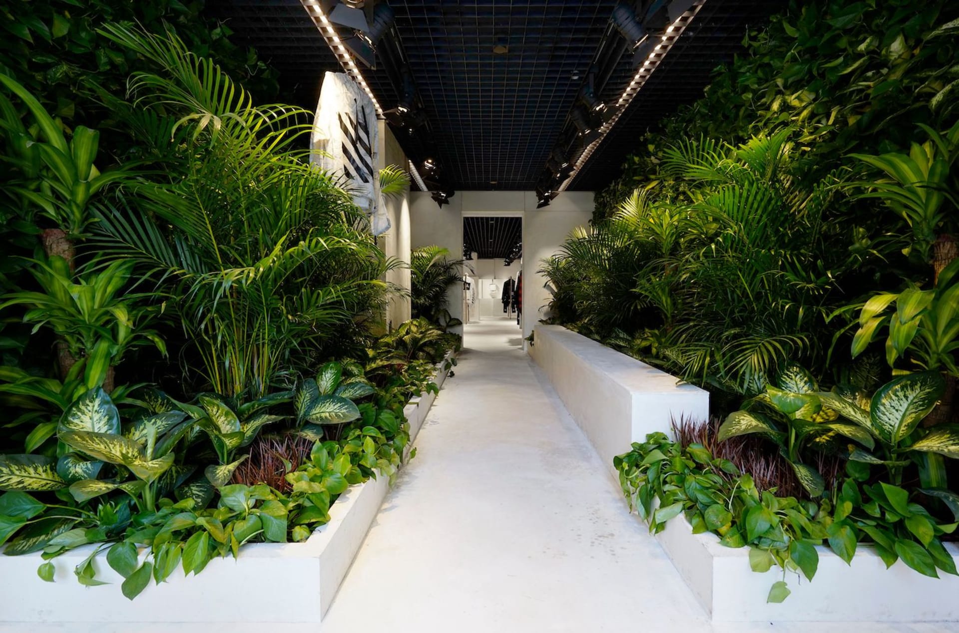 oana romanian amateur girl