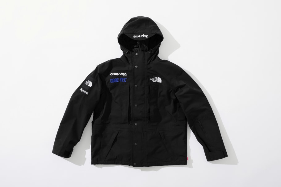 Supreme the north face 2018 online