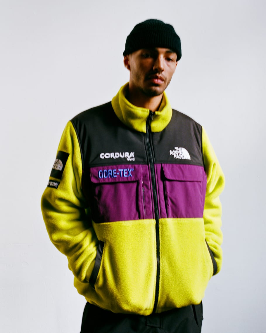 supreme x the north face 2018