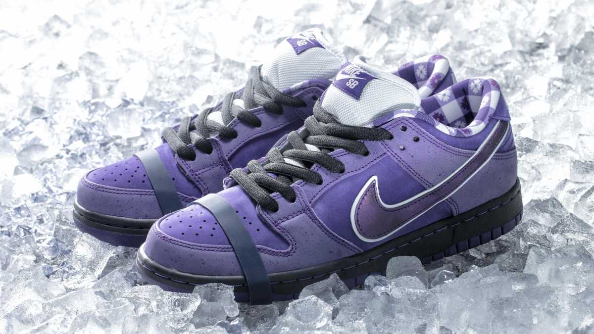 concepts x nike sb dunk low purple lobster