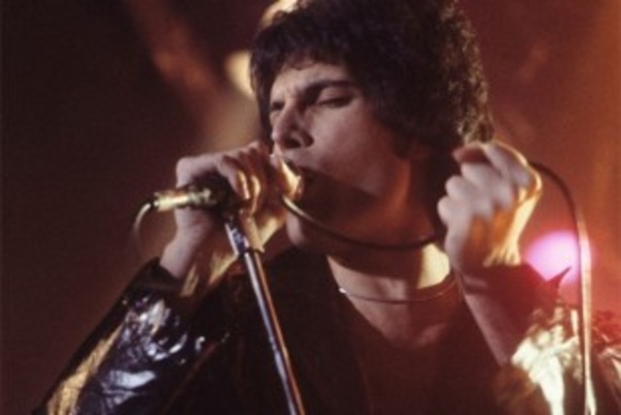 freddie mer