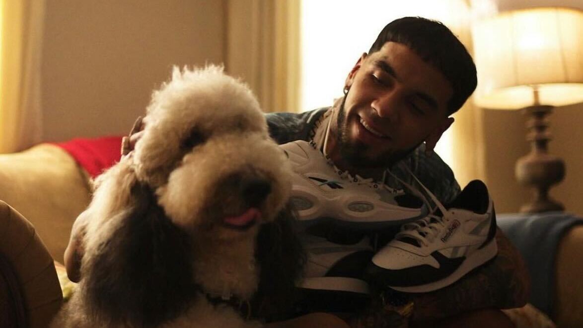 Anuel AA on His New Reebok Shoe, Possible Allen Iverson Collab, & More