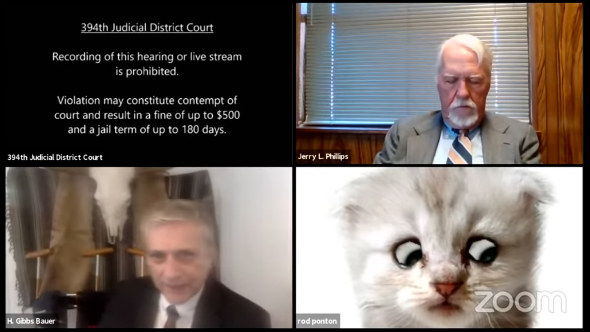 Zoom Cat Lawyer Says He S Not Embarrassed Anymore Looking To Sell Merch Complex