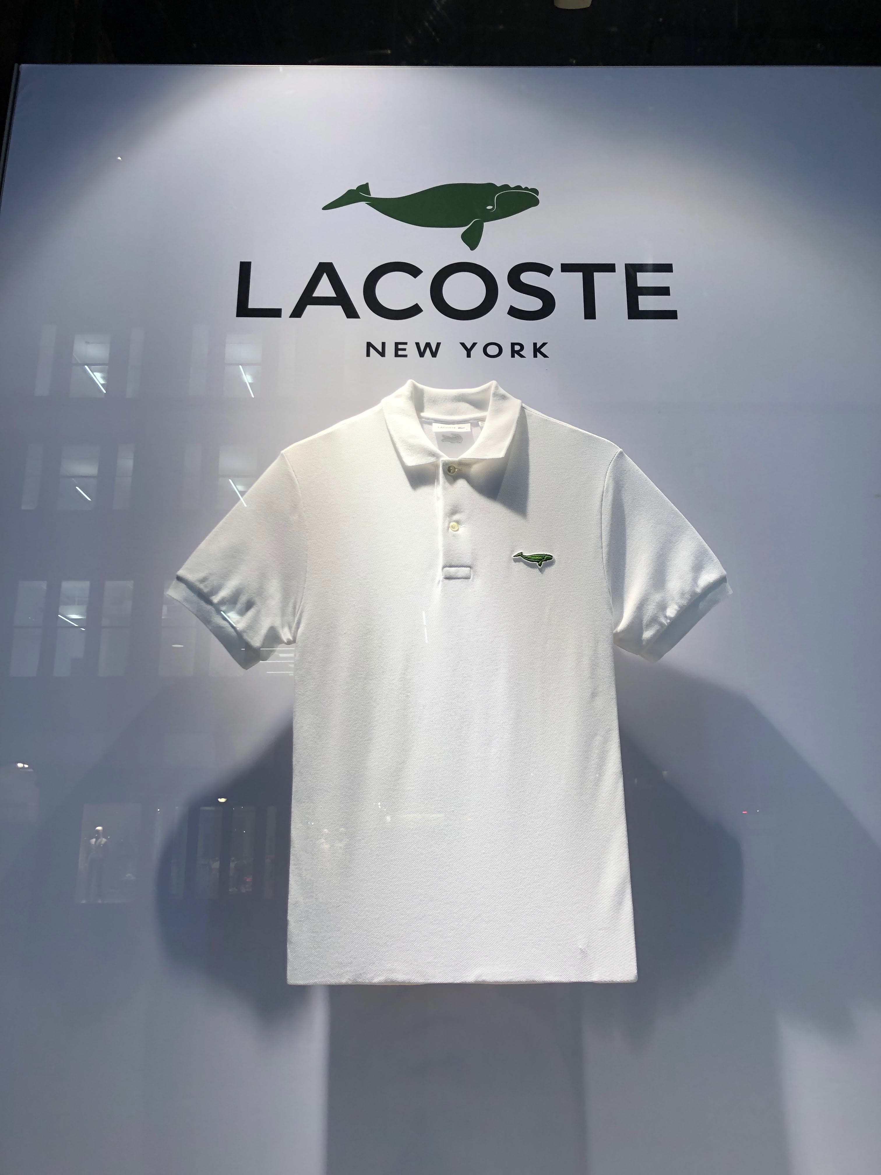 lacoste owl