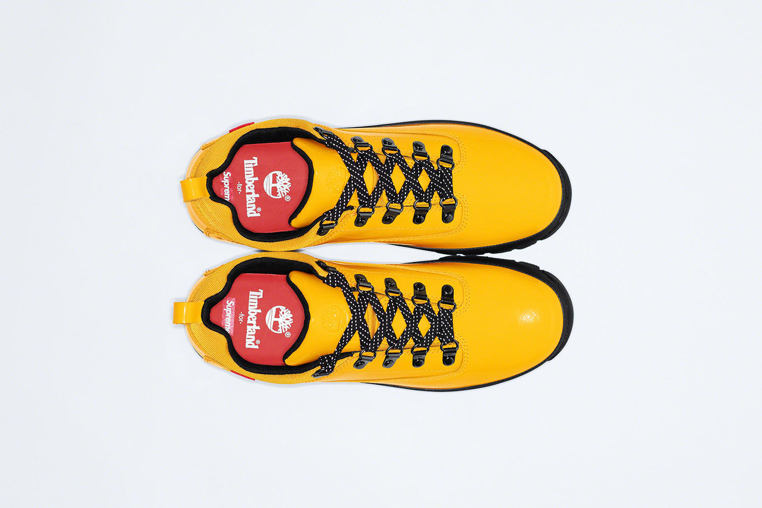 timberland spring